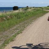 1307G 145 Insel Fehmarn